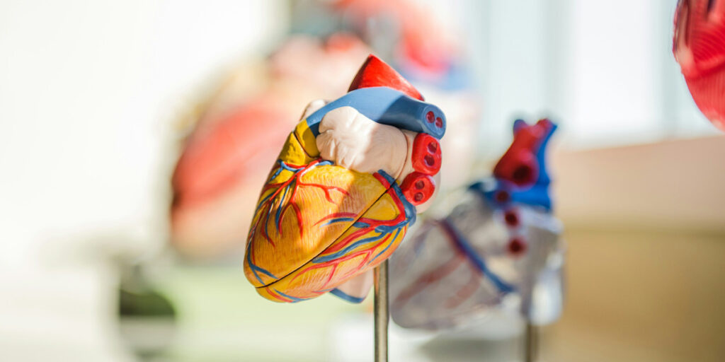 Top Paying Cardiology Services The Pulse of Revenue Optimization